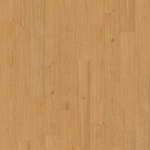 Ecolam – Biscayne